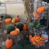 Pendleton's Country Market photo