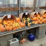 Pendleton's Country Market photo