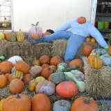 Pendleton's Country Market photo