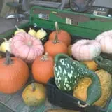 Pendleton's Country Market photo