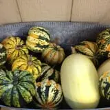 Pendleton's Country Market photo