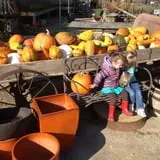 Pendleton's Country Market photo