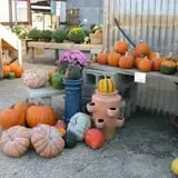 Pendleton's Country Market photo