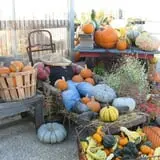 Pendleton's Country Market photo