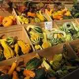 Pendleton's Country Market photo