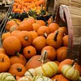 Pendleton's Country Market photo