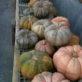 Pendleton's Country Market photo