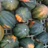 Pendleton's Country Market photo