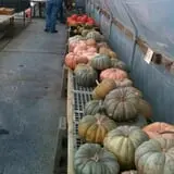 Pendleton's Country Market photo