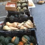 Pendleton's Country Market photo
