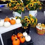 Pendleton's Country Market photo