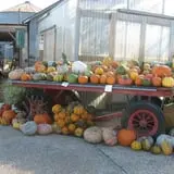 Pendleton's Country Market photo