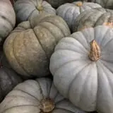 Pendleton's Country Market photo