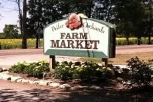 Peifer Orchards Pumpkin Patch