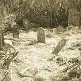 Farmer Jim's Pumpkin Patch & Corn Maze photo