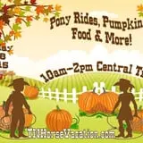 Pony Pumpkin Patch photo