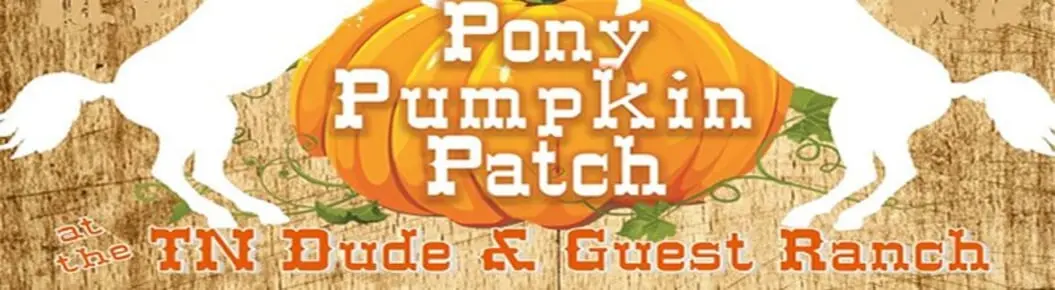 Pony Pumpkin Patch Cover Photo