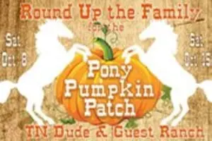 Pony Pumpkin Patch