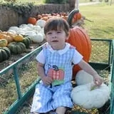 PaPa Simpson's Farm photo