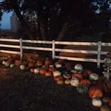PaPa Simpson's Farm photo