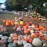 PaPa Simpson's Farm photo