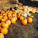PaPa Simpson's Farm photo