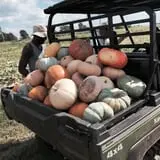 PaPa Simpson's Farm photo