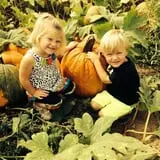PaPa Simpson's Farm photo