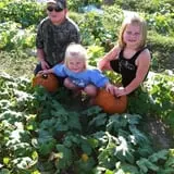 PaPa Simpson's Farm photo