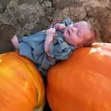 PaPa Simpson's Farm photo