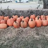 PaPa Simpson's Farm photo