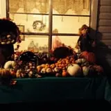 PaPa Simpson's Farm photo