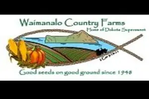 Waimanalo Country Farms Pumpkin Patch & Maze