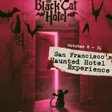 The Black Cat Hotel: A Host of Vampires