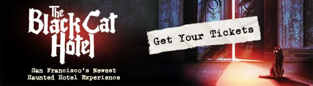 The Black Cat Hotel Cover Photo