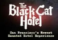 The Black Cat Hotel