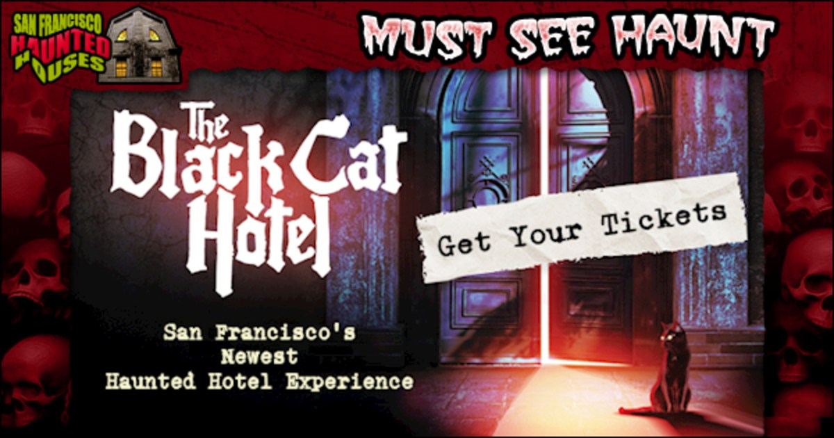 The Black Cat Hotel