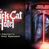 The Black Cat Hotel