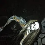 Mayhem Haunted House