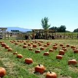 Wagner's Farmland Experience photo