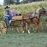 Wagner's Farmland Experience photo