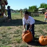 Wagner's Farmland Experience photo