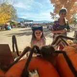Wagner's Farmland Experience photo
