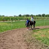 Wagner's Farmland Experience photo