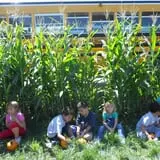 Wagner's Farmland Experience photo