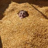 Wagner's Farmland Experience photo