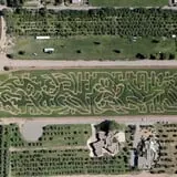 Wagner's Farmland Experience photo