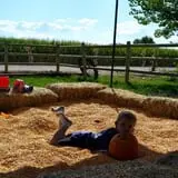 Wagner's Farmland Experience photo