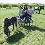 Wagner's Farmland Experience photo