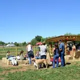 Wagner's Farmland Experience photo